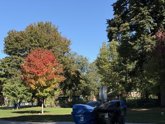 Dufferin Grove Park by null