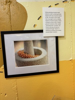 National Mustard Museum by null