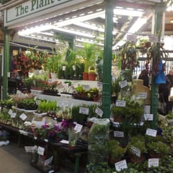The Plant Shop