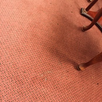 Hudson Valley Resort & Spa - Yes, all those dark spots are indeed dead bugs. Some alive, gasping for life, I'm sure. - Resorts Near Me - Kerhonkson, New York