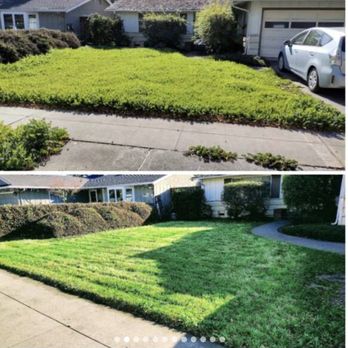 Lopez Landscaping - General clean up - Irrigation Near Me Lopez Landscaping - General clean up - Irrigation Near Me