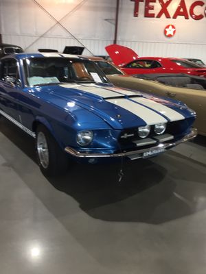 Thunder Dome Car Museum by null