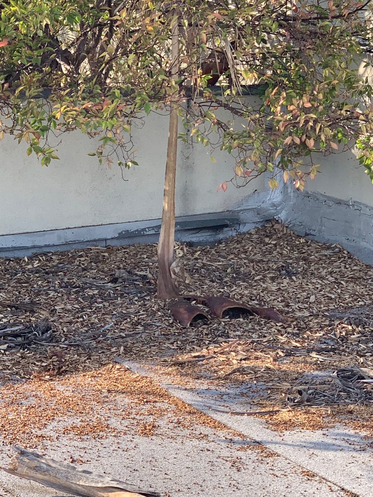 Slide of Commercial Roofing Concepts