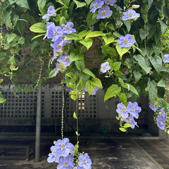 The 10 Best Places near Yaese, 沖縄県 - Last Updated November 2025