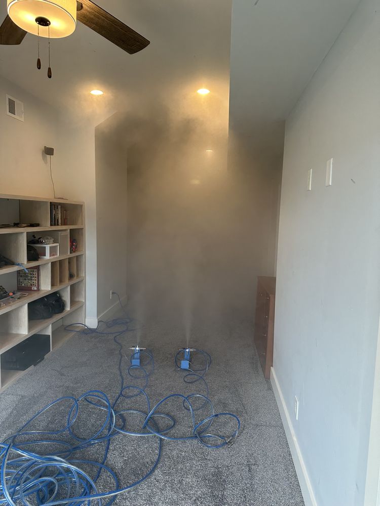 Claro - mold inspector in Nashville, TN