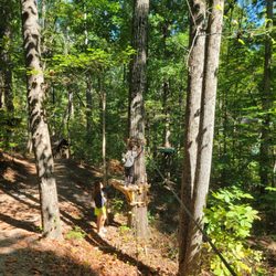 Treetop Quest Gwinnett