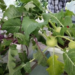 Bekemeyer Family Farm