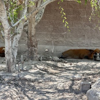 El Paso Zoo - Aquariums Near Me - El Paso, Texas El Paso Zoo - Aquariums Near Me - El Paso, Texas