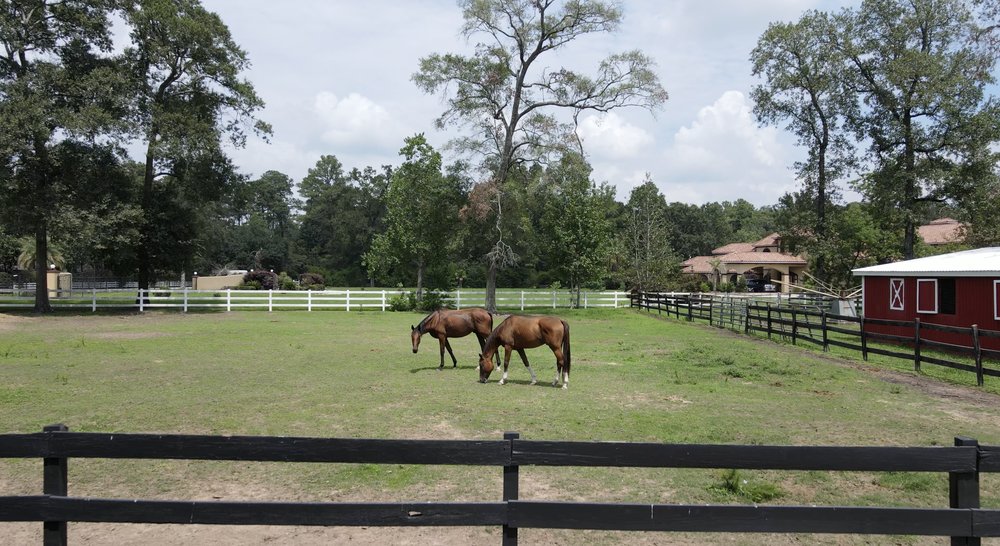 WOODLANDS RIDING AND EQUESTRIAN CENTER Updated August 2024 15719 Old Conroe Rd, Conroe