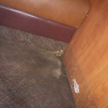 Denny's - This is the growth - American Near Me - Royse City, Texas Denny's - This is the growth - American Near Me - Royse City, Texas