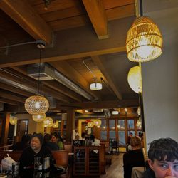 Jade Dumpling & Noodle House - Interior