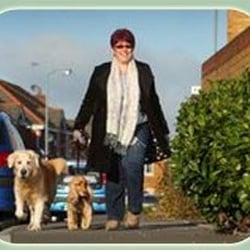Home From Home Dog Boarding - Photo from business website: http://www.helenshomefromhome.co.uk