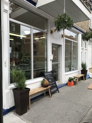 Dave Plant Food by null