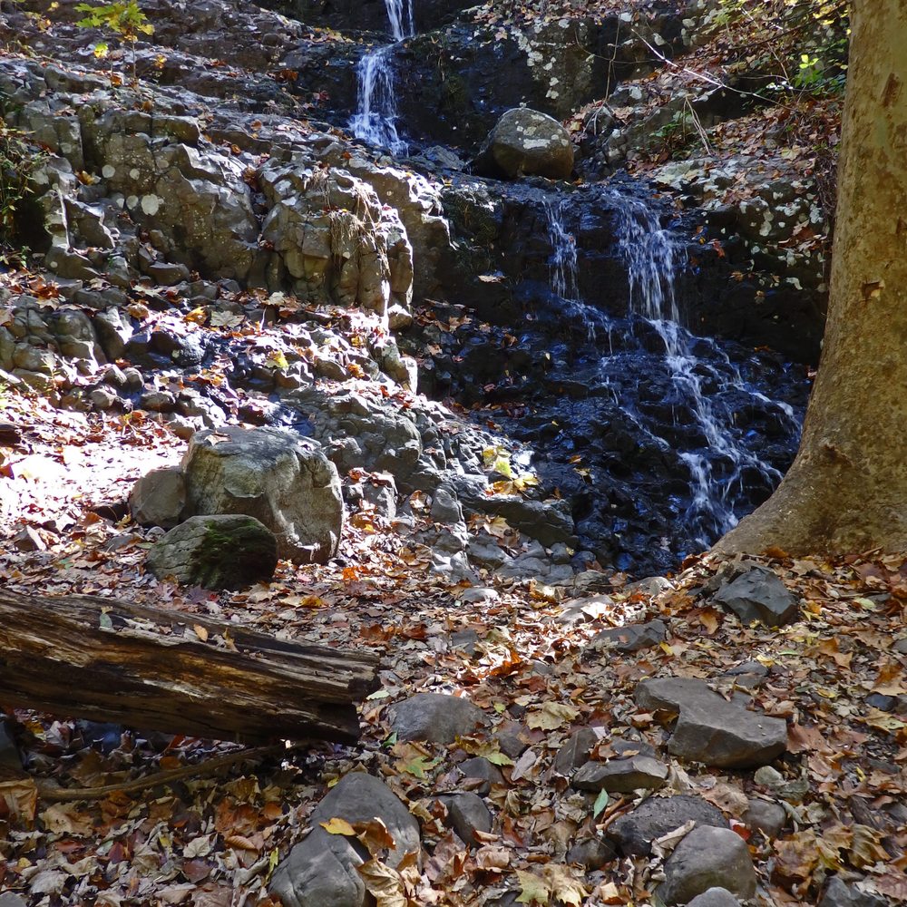 South Mountain Reservation - Hobble Falls - Hiking Near Me - Short Hills, New Jersey South Mountain Reservation - Hobble Falls - Hiking Near Me - Short Hills, New Jersey