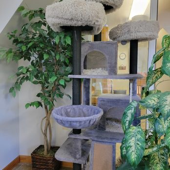 Noah's Pet Motel - Cozy Cattery - Pet Groomers Near Me - Pottstown, Pennsylvania Noah's Pet Motel - Cozy Cattery - Pet Groomers Near Me - Pottstown, Pennsylvania