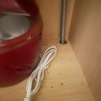 Mac Properties - Chicago - Mouse droppings after cleaning area. Holes before I sealed them myself. - Apartments Near Me - Chicago, Illinois