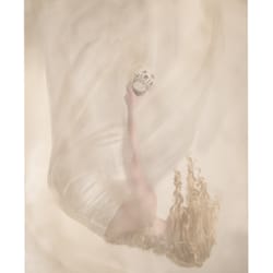 Tiffany Noles Photography