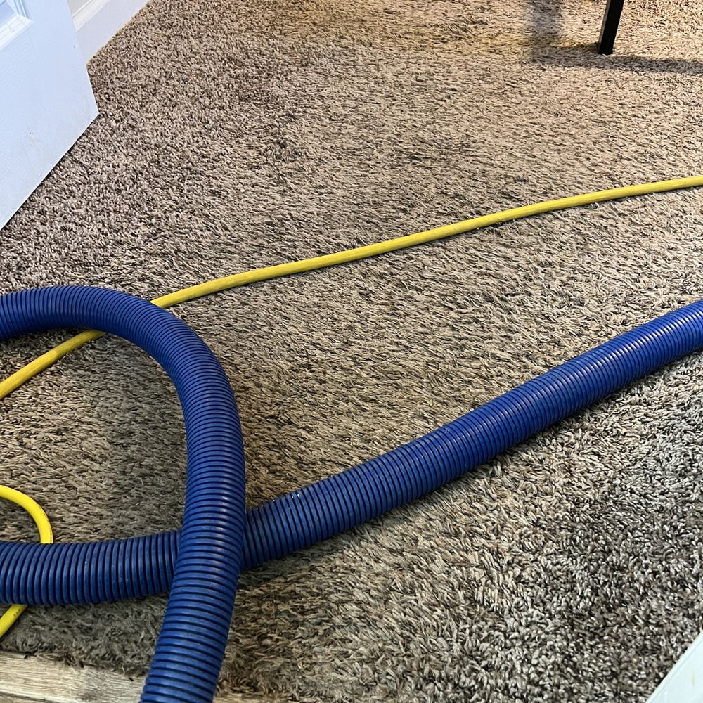 Blue Rooster Carpet Cleaning - BEFORE - Carpet Cleaning Near Me - Glendale, California