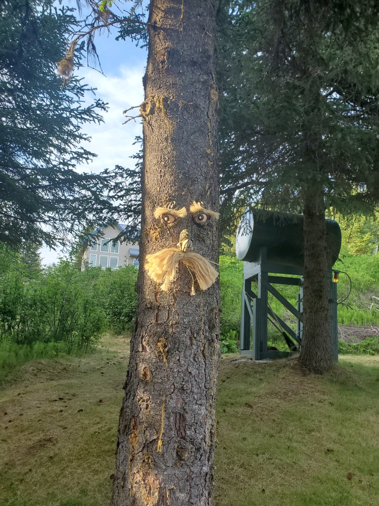 THE HIGHLINER HOUSE 4590 Natalie Cir, Homer, Alaska Vacation Rentals Phone Number Yelp