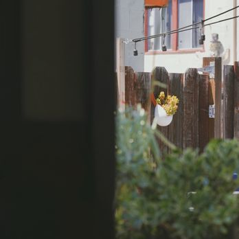 Devout Coffee - Coffee Roasteries Near Me - Fremont, California