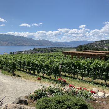 Quails' Gate Winery - View from patio of Okanagan Lake the vineyard - Wineries Near Me - Kelowna, British Columbia Quails' Gate Winery - View from patio of Okanagan Lake the vineyard - Wineries Near Me - Kelowna, British Columbia