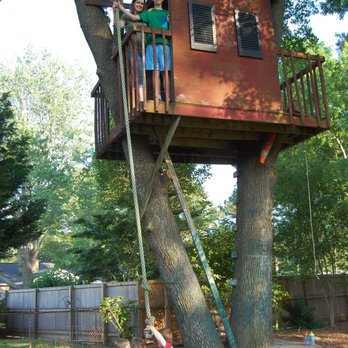Putman Tree Service - These are two of the trees removed - Tree Services Near Me - Virginia Beach, Virginia