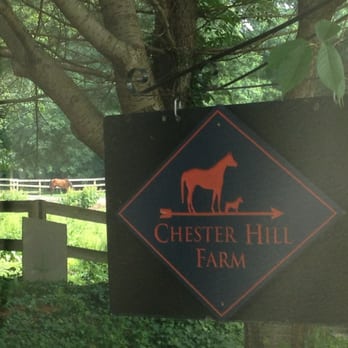 Chester Hill Farm - Horseback Riding Near Me - Trumbull, Connecticut Chester Hill Farm - Horseback Riding Near Me - Trumbull, Connecticut