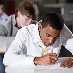 The Princeton Review