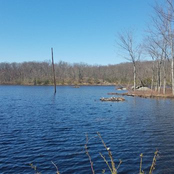 WildCat Ridge Reservation Trail - Beaver Pond - Hiking Near Me - Rockaway, New Jersey