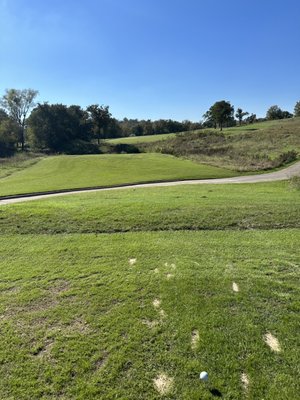 Lost Pines Golf Club by null