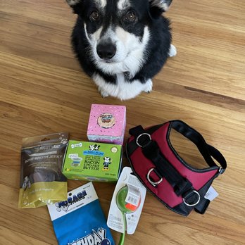 Mugsy’s Pet Supply & Barkery - Birthday boy got lots of presents! - Pet Stores Near Me - Vallejo, California Mugsy’s Pet Supply & Barkery - Birthday boy got lots of presents! - Pet Stores Near Me - Vallejo, California