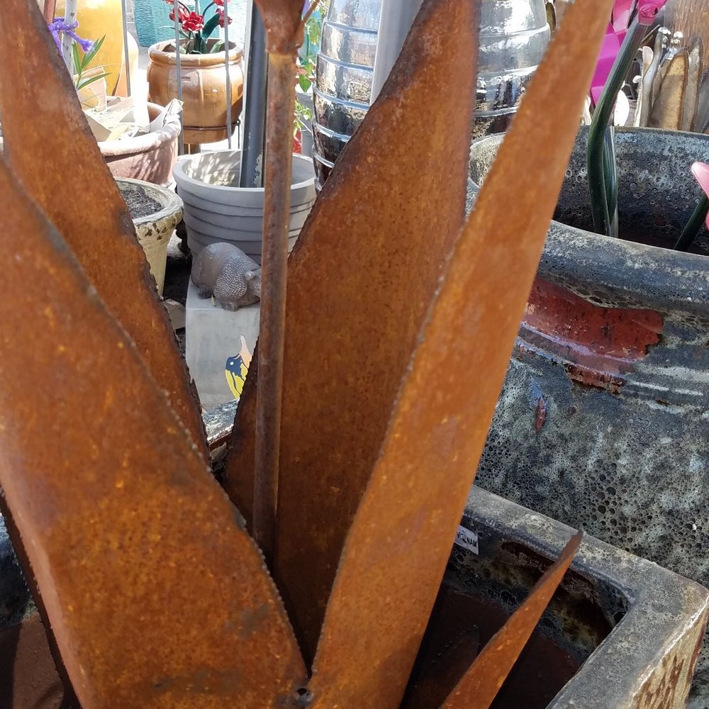 Potteryland LLC - Nurseries & Gardening Near Me - Chandler, Arizona
