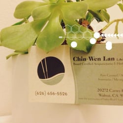 Chin-Wen Lan Acupuncture
