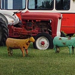 AOK Campground & RV Park - Cool!