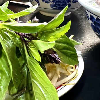 Pho 79 Restaurant - Fresh greens and bean sprouts .. - Vietnamese Near Me - Westminster, California Pho 79 Restaurant - Fresh greens and bean sprouts .. - Vietnamese Near Me - Westminster, California