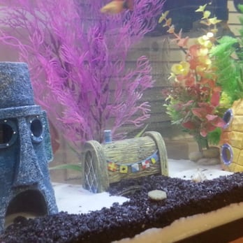PetSmart Dog Training - Pet Stores Near Me - San Mateo, California