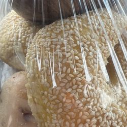 Cafe Such-A-Bagel