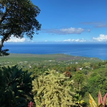 The Coffee Shack - Coffee & Tea Near Me - Captain Cook, Hawaii The Coffee Shack - Coffee & Tea Near Me - Captain Cook, Hawaii