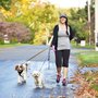 Photo of Cambridge Critter Sitter & Dog Walker