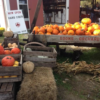 Orchard Hill Cider Mill - Our new doggie friends getting some shade under a very large wagon filled with pumpkins! - Cideries Near Me - New Hampton, New York Orchard Hill Cider Mill - Our new doggie friends getting some shade under a very large wagon filled with pumpkins! - Cideries Near Me - New Hampton, New York