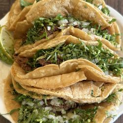 Speedy Taco - Tacos de barbacoa