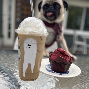 The Greenhouse Cafe - Red velvet muffin - Coffee & Tea Near Me - Fort Ritchie, Maryland The Greenhouse Cafe - Red velvet muffin - Coffee & Tea Near Me - Fort Ritchie, Maryland