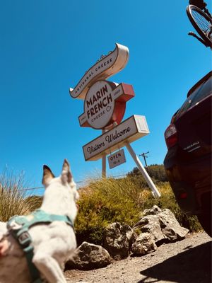 Marin French Cheese Co. by null