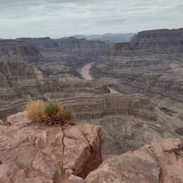 The colors were muted because the day was overcast. The colors were muted because the day was overcast.