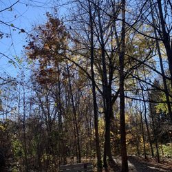 Howard E Herman Stream Valley Park