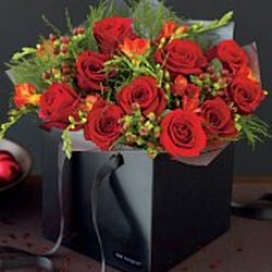 April Flowers - Beautiful Roses