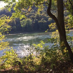 Allegheny River Trail - Allegheny River views from the trail
