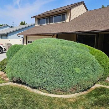 Atomic Lawn & Landscape - Lawn Services Near Me Atomic Lawn & Landscape - Lawn Services Near Me