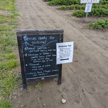 Bailey Family Farm - June 8 Varieties - Pick Your Own Farms Near Me - Snohomish, Washington Bailey Family Farm - June 8 Varieties - Pick Your Own Farms Near Me - Snohomish, Washington