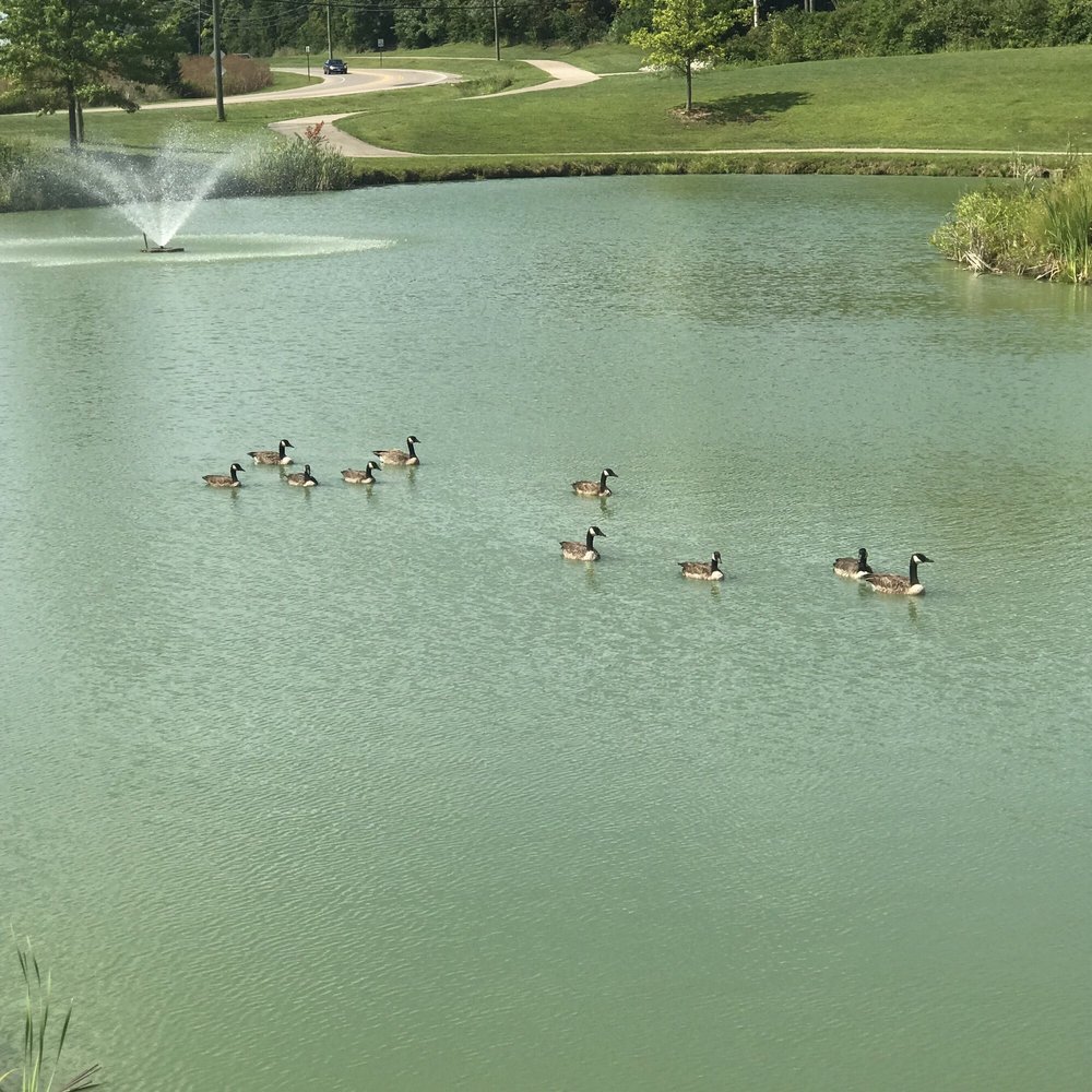 BECKETT PARK OF WEST CHESTER 18 Photos 8558 Beckett Rd, West